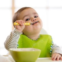 Baby Foods