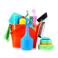 Cleaner